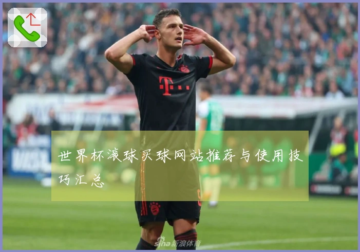 世界杯滚球买球网站推荐与使用技巧汇总