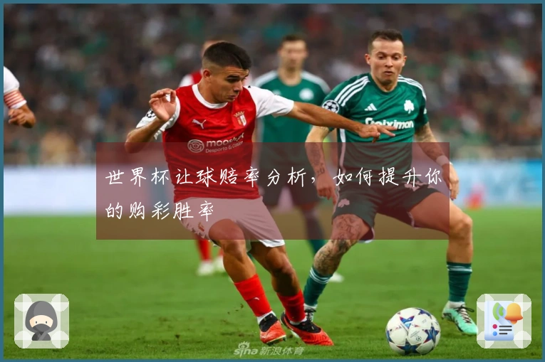 世界杯让球赔率分析，如何提升你的购彩胜率