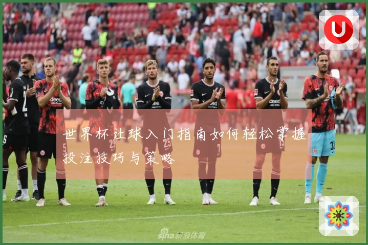 世界杯让球入门指南如何轻松掌握投注技巧与策略