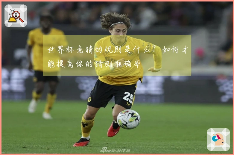 世界杯竞猜的规则是什么？如何才能提高你的猜测准确率