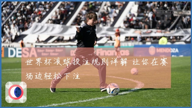 世界杯滚球投注规则详解 让你在赛场边轻松下注